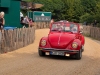 Classic-Days-Grand-Meeting-2025_Anna-Koester-Nowaczyk_080